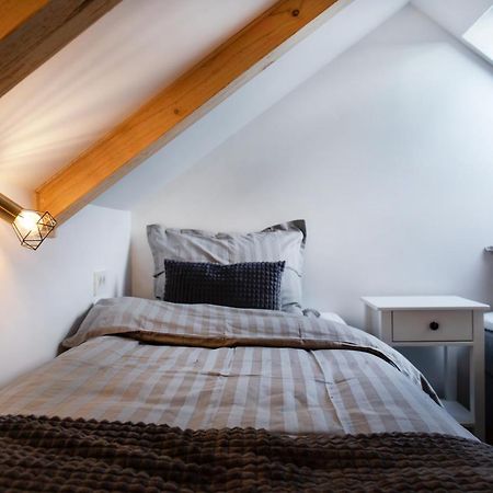 Bright & Spacious Loft In The Heart Of Old Town Ljubljana Eksteriør bilde