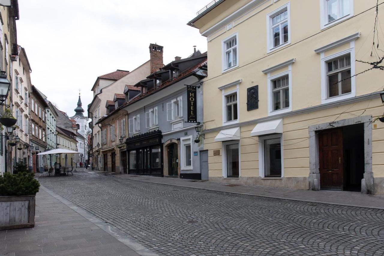 Bright & Spacious Loft In The Heart Of Old Town Ljubljana Eksteriør bilde